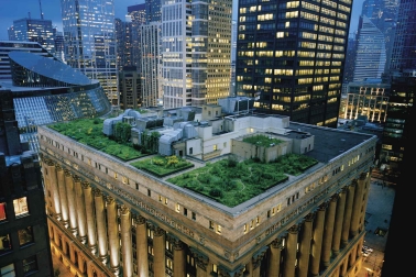 A green roof on Chicago's City Hall.